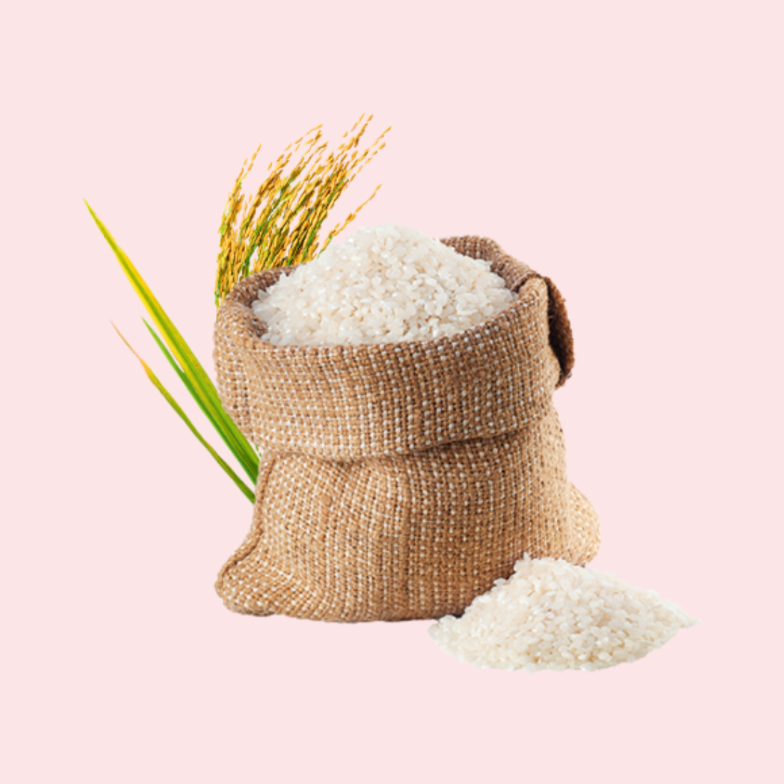 Rice