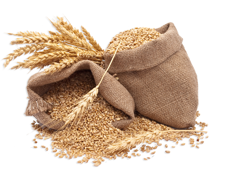 Raw Wheat