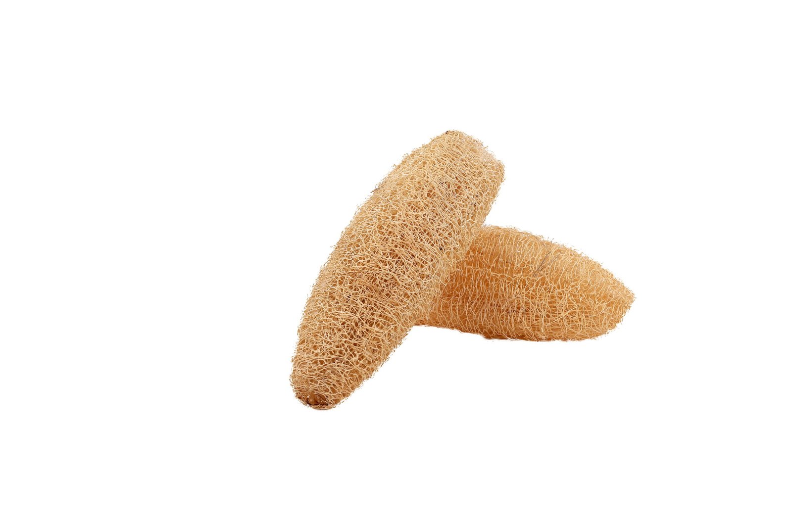 ridge gourd loofah