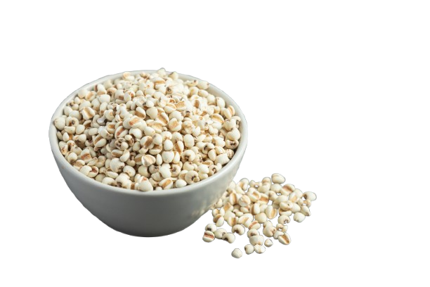 White Cholam 