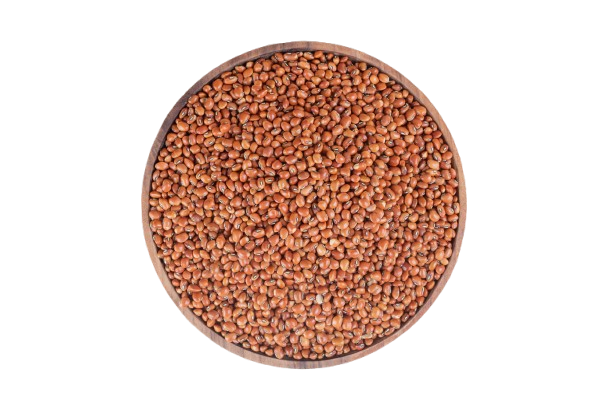  Red Cholam 